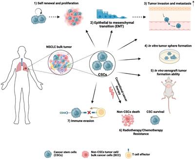 Extracellular vesicles in non-small cell lung cancer stemness and clinical applications